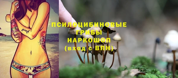 прущие грибы Алексин