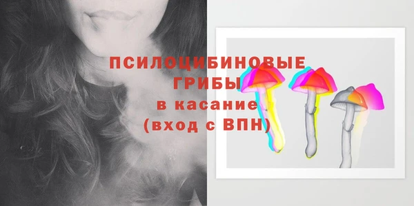 шишки Сафоново