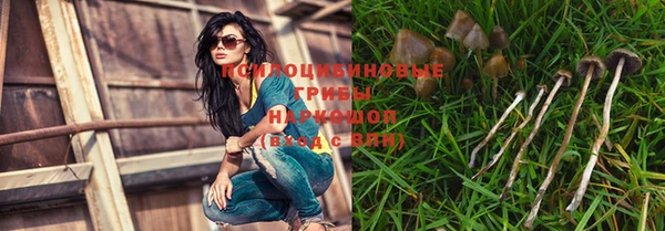 прущие грибы Алексин