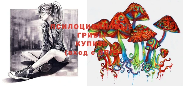 гашик Алексеевка
