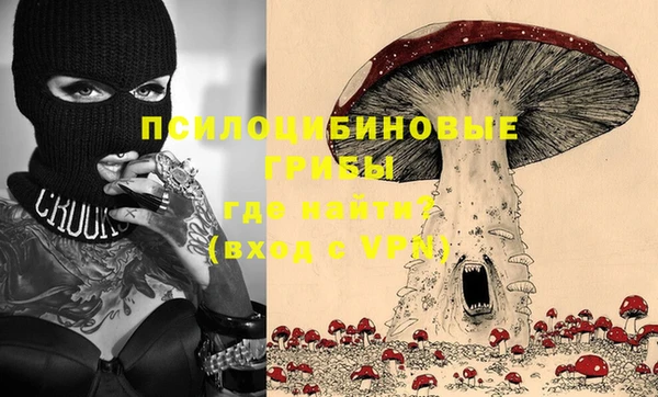 гашик Алексеевка