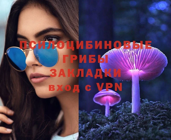 гашик Алексеевка