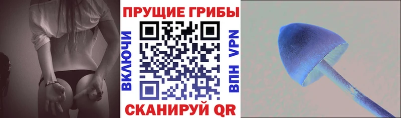 Галлюциногенные грибы Magic Shrooms  даркнет официальный сайт  ОМГ ОМГ tor  Карабаш  закладка 